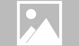 洛阳家长爆料事件最新,校园霸凌事件引发社会关注