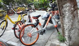 桂林单车爆料案件最新,真相与疑云交织的骑行之谜