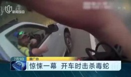 恐怖新闻爆料大全最新,恐怖新闻爆料大全深度剖析