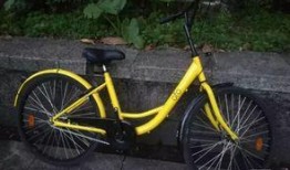 桂林单车爆料案件最新,真相与疑云交织的骑行之谜