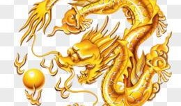 爆料五爪金龙视频大全最新,最新视频大全带你领略神秘国宝风采