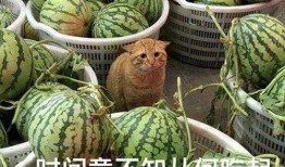 吃瓜最新事件爆料潍坊,揭秘近期热点事件幕后真相