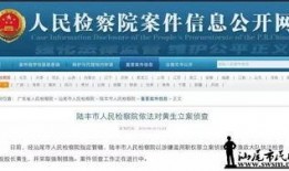 陆丰内湖爆料案件最新,揭秘背后惊人真相