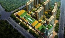 阳光新城最新爆料,揭秘神秘项目背后的惊人真相