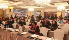 洛阳家长爆料事件最新,校园霸凌事件引发社会关注