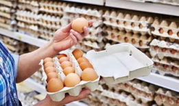 蛋仔6月份最新爆料,神秘新内容即将揭晓！