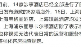 酒店最新爆料视频大全,揭秘幕后真相与精彩瞬间
